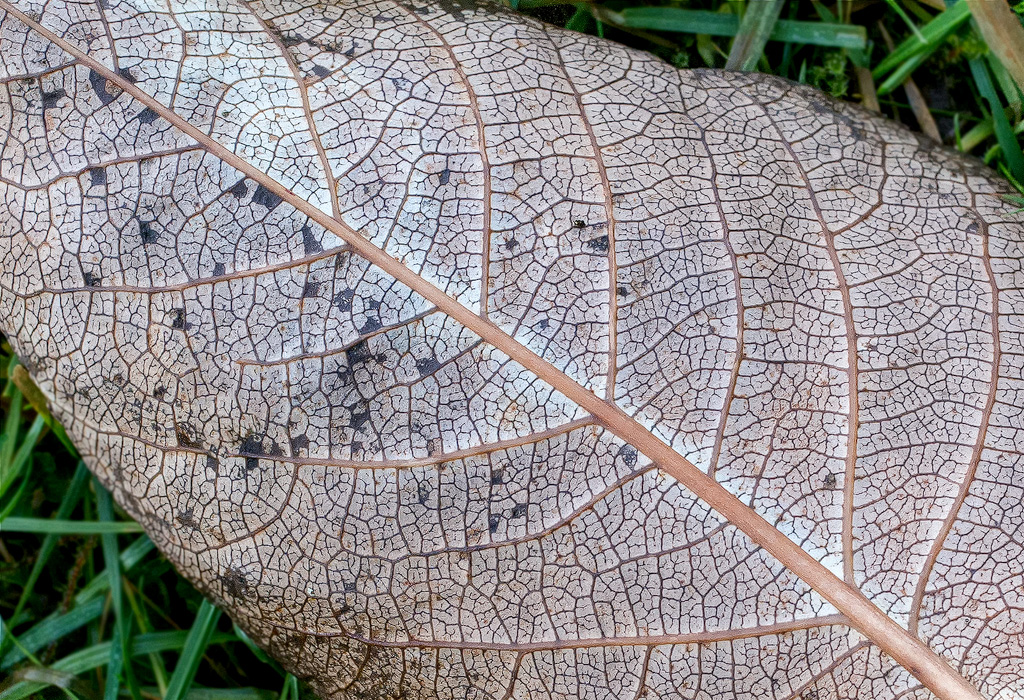 4711 Blatt-SAM_0741-1-Kopie.jpg